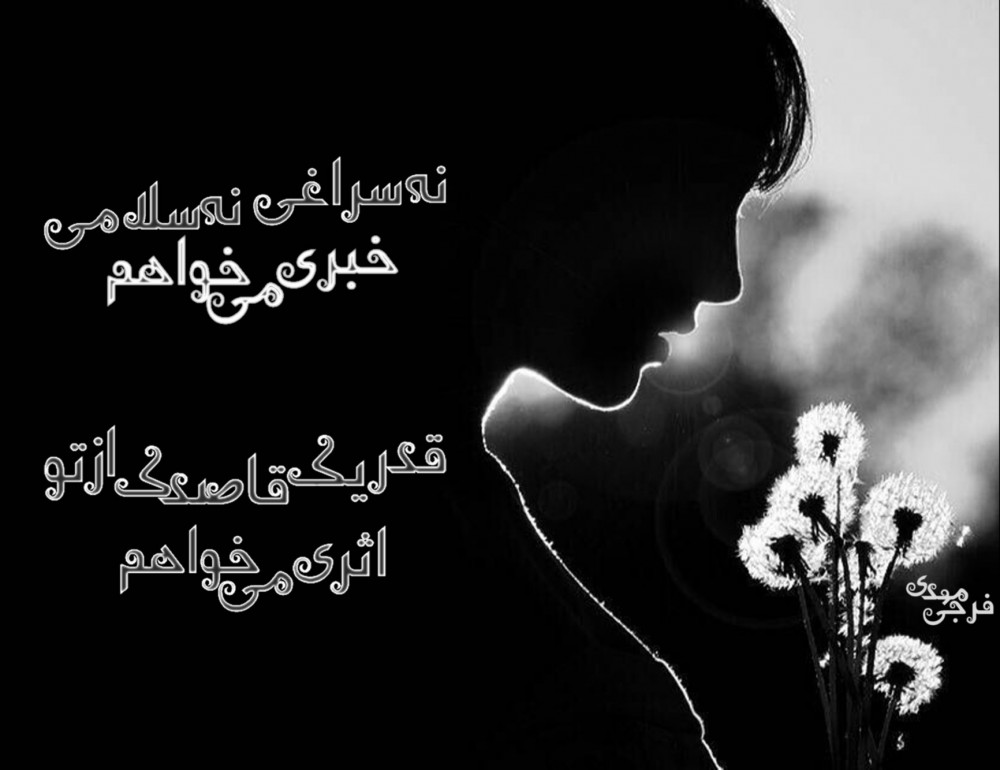 قدر یک قاصدک