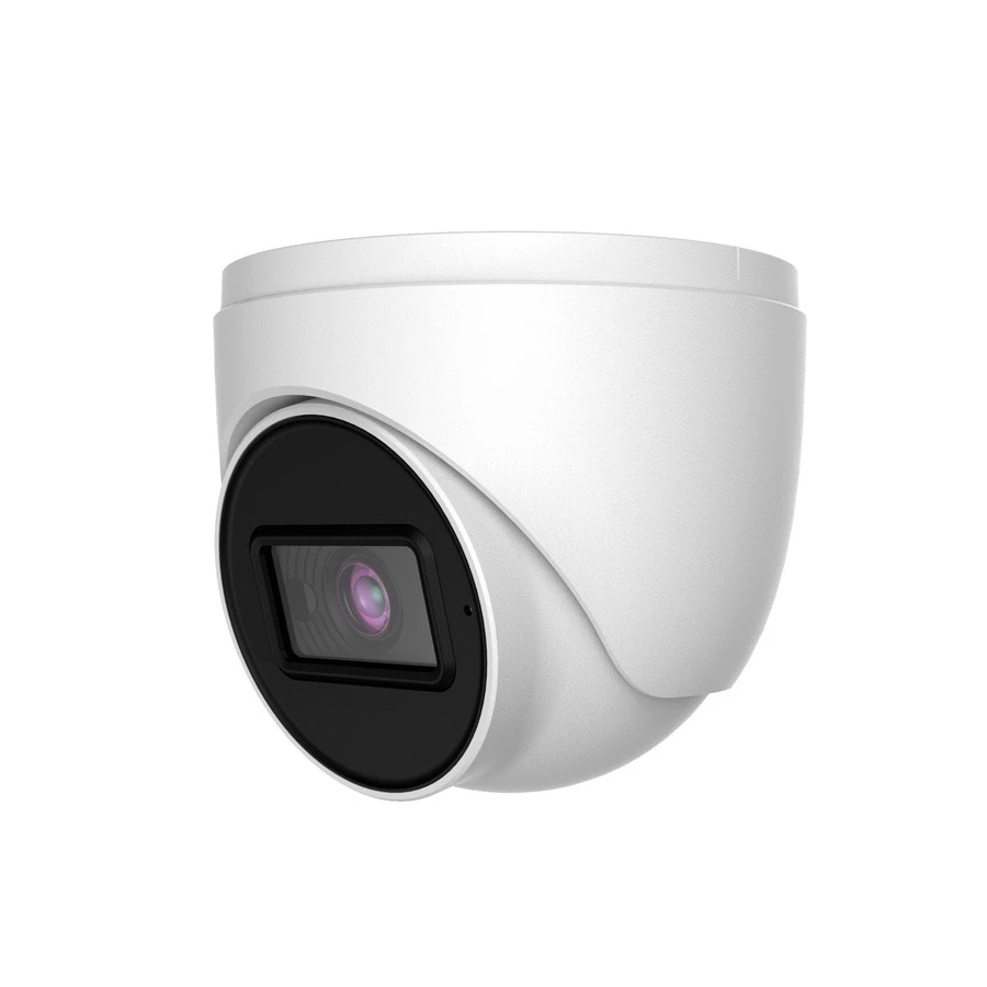 دوربین تحت شبکه 2 مگاپیکسل دام اسکای ویژن مدل SV-IPHM2301-DF-W-S
