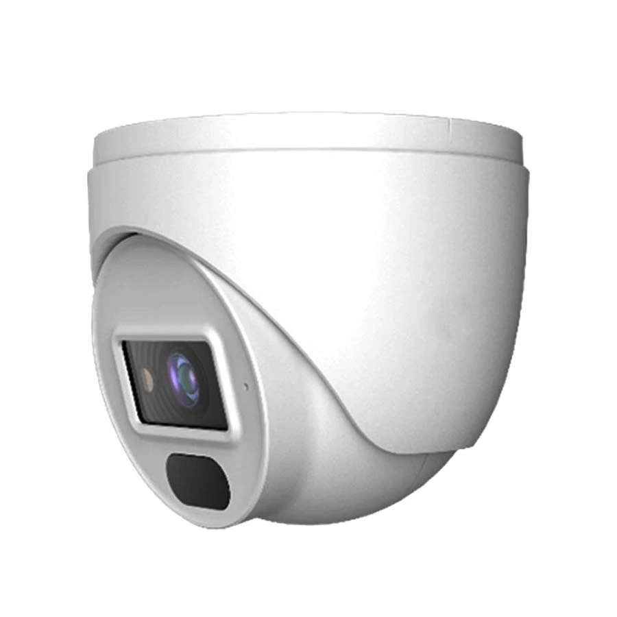 دوربین تحت شبکه 4 مگاپیکسل دام اسکای ویژن مدل SV-IPNL4301-DF