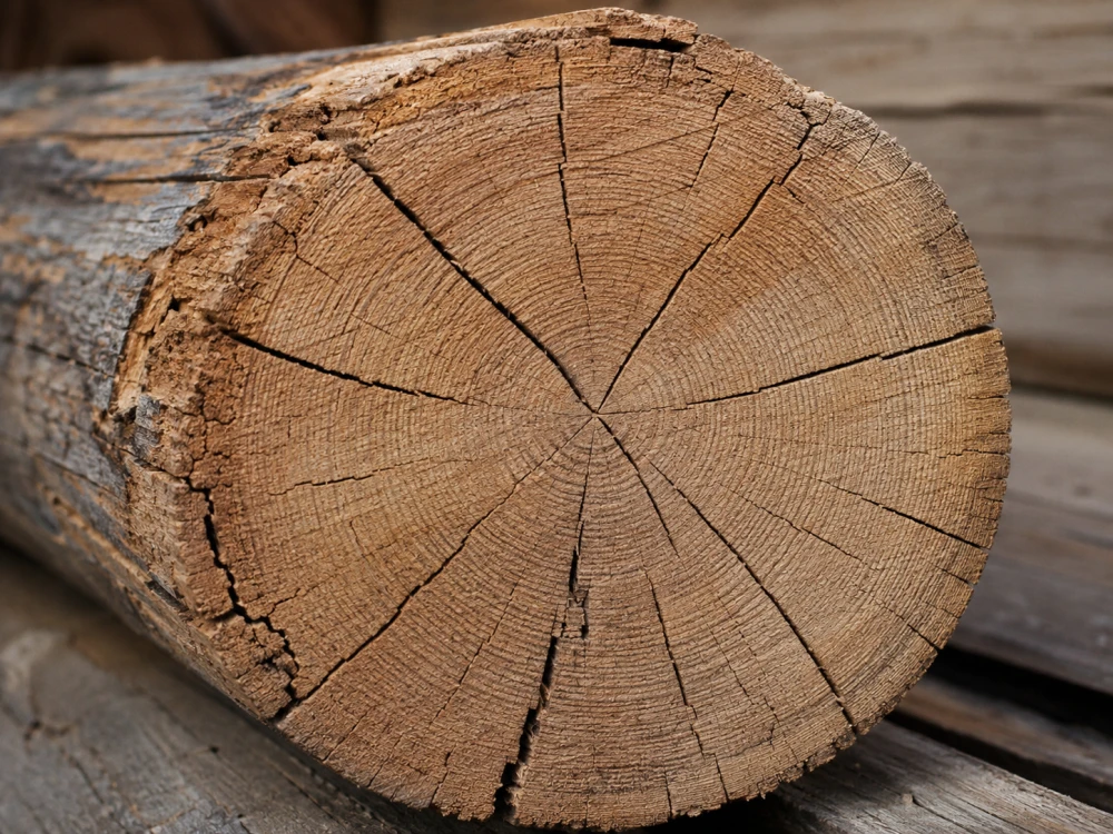 علت ترک خوردن چوب بعد از خشک شدن چیست؟