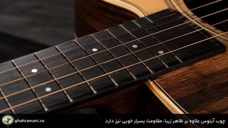 چوب آبنوس علاوه بر ظاهر زیبا، مقاومت بسیار خوبی نیز دارد چوب آبنوس علاوه بر ظاهر زیبا، مقاومت بسیار خوبی نیز دارد