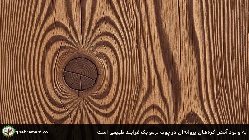 به وجود آمدن گرههای پروانهای در چوب ترمو یک فرایند طبیعی است به وجود آمدن گرههای پروانهای در چوب ترمو یک فرایند طبیعی است