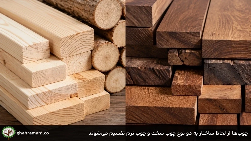 چوبها از لحاظ ساختار به دو نوع چوب سخت و چوب نرم تقسیم میشوند چوبها از لحاظ ساختار به دو نوع چوب سخت و چوب نرم تقسیم میشوند