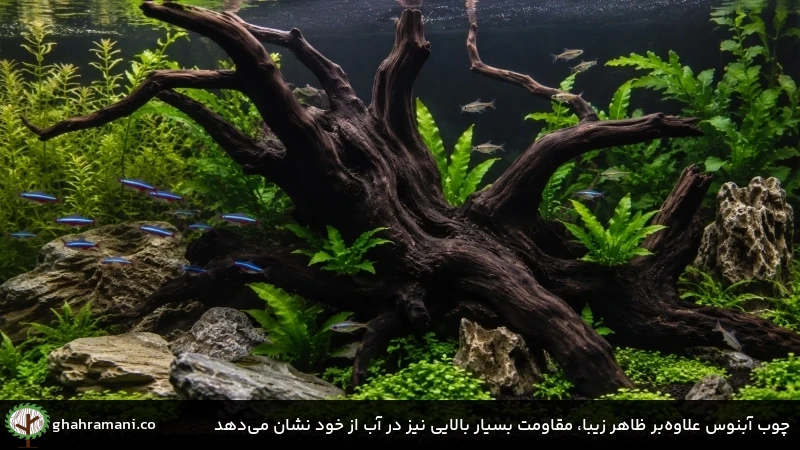 چوب آبنوس علاوه&zwnj;بر ظاهر زیبا، مقاومت بسیار بالایی نیز در آب از خود نشان می&zwnj;دهد